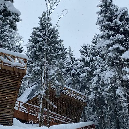 Montana *