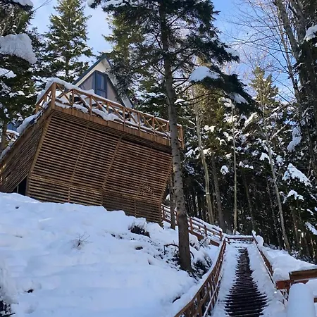 Montana