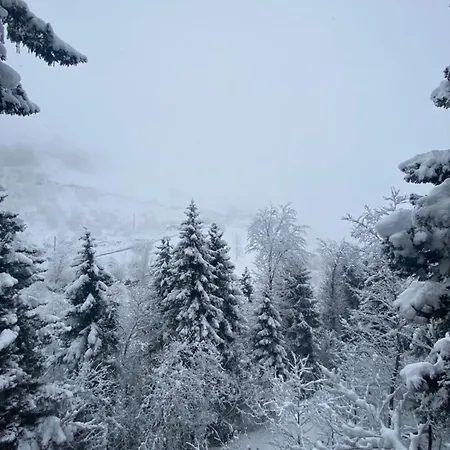 Montana *