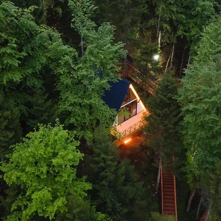 Montana 特拉布宗