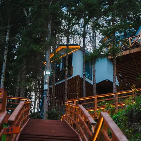 Montana * Trabzon