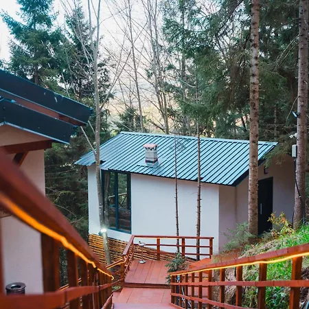 Montana Ferienhaus