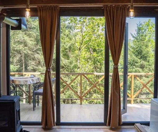 Montana * Трабзон