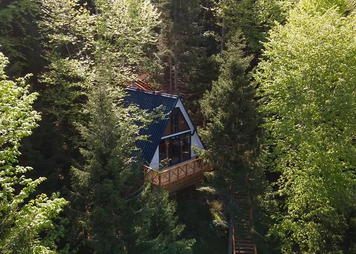 Montana 特拉布宗