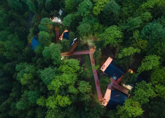 Montana * 特拉布宗