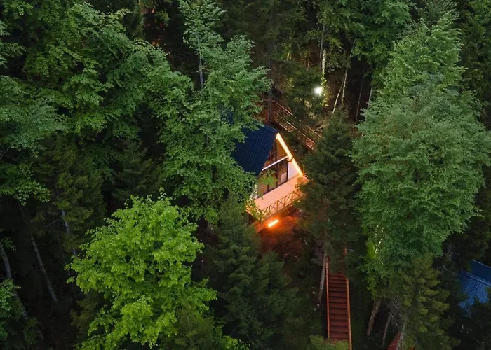 Montana 特拉布宗