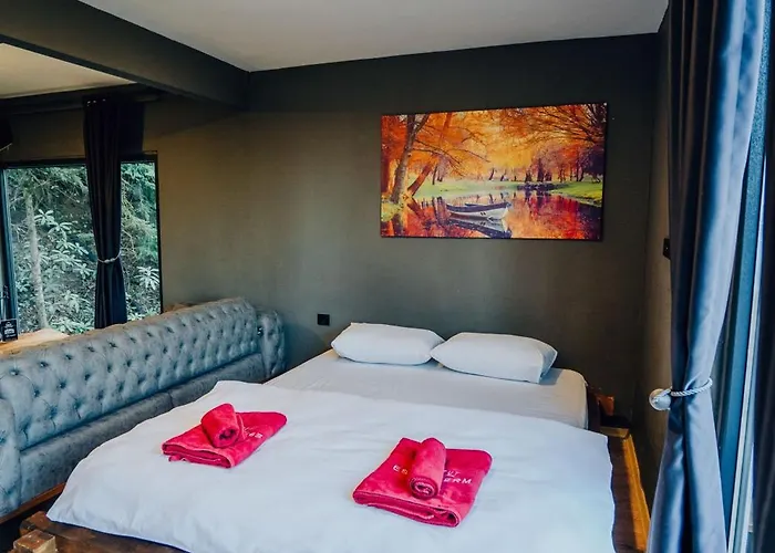 Montana * Трабзон