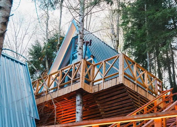 Montana * Трабзон