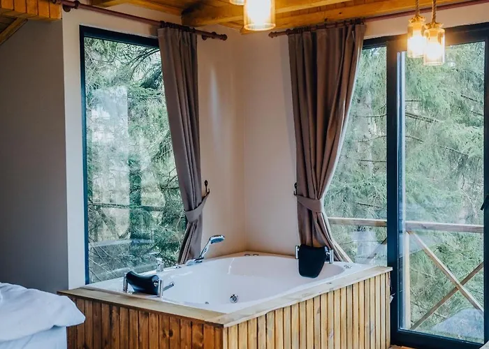 Montana * 特拉布宗