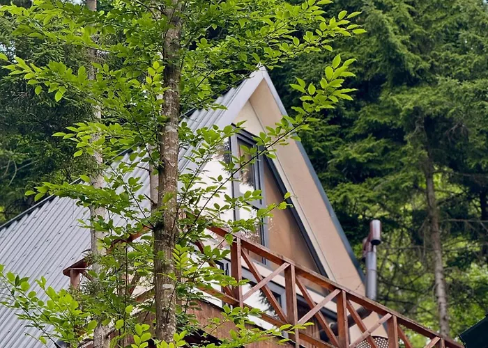 Montana * 特拉布宗