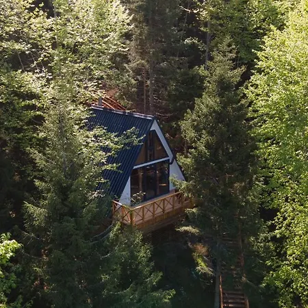 Montana טראבזון