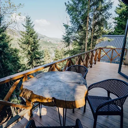 Montana * Trabzon