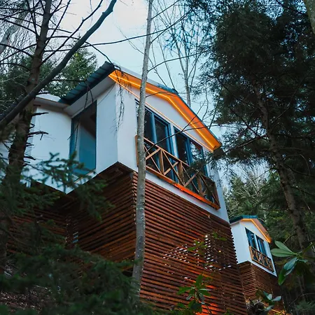 Montana Bungalows *