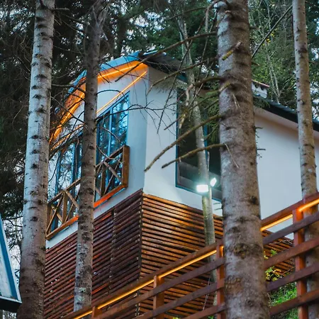 Montana Holiday home