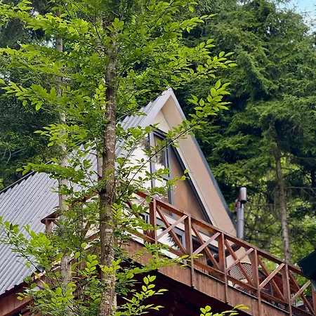 Montana * טראבזון