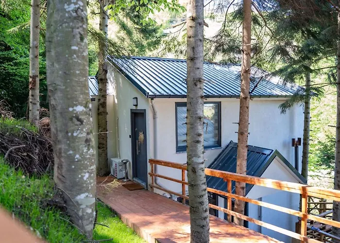 Montana Feriehus Trabzon