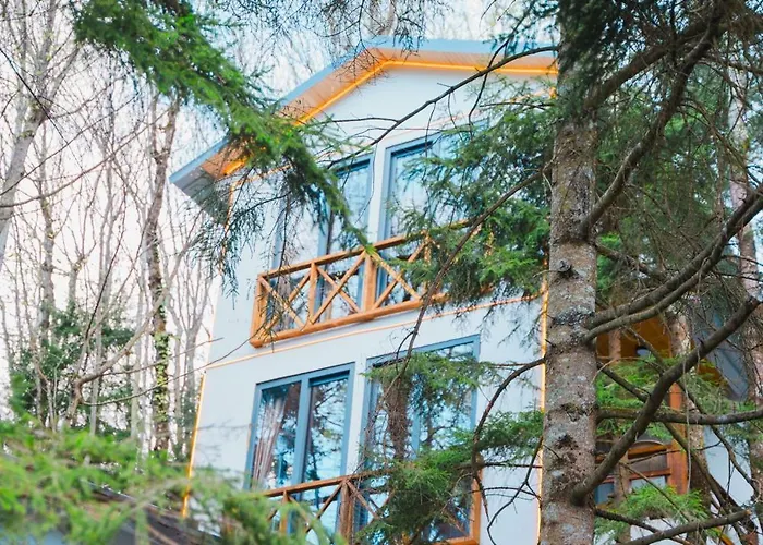 Montana Bungalows 펜션