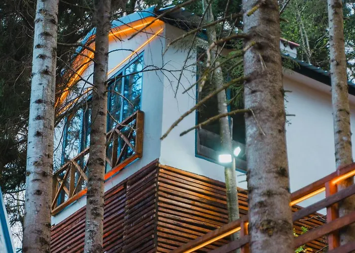 Montana Bungalows 펜션