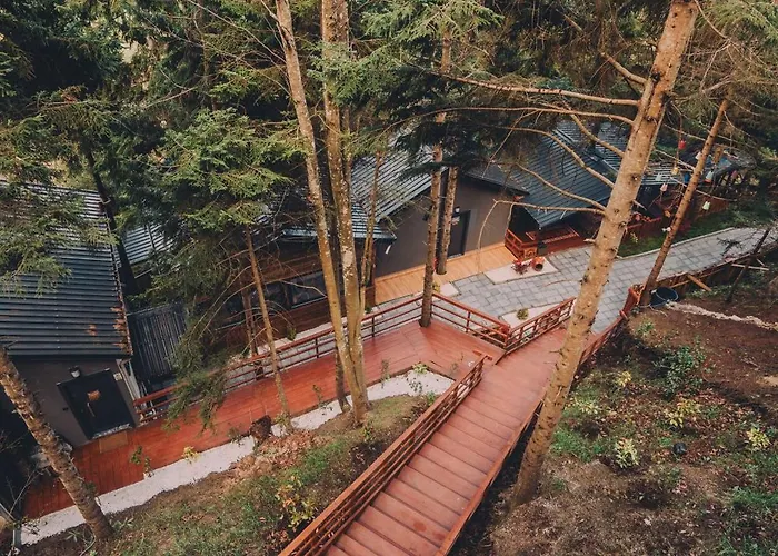 Montana Bungalows 펜션 트라존