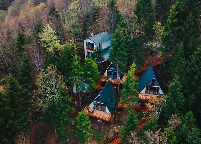 Feriehus Montana Trabzon